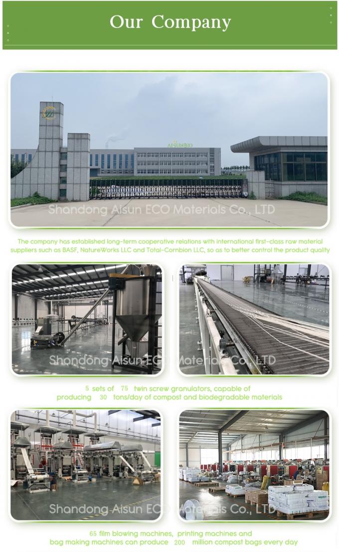 PLA Biodegradable Shopping Bag Compostable Plastic Customized 3