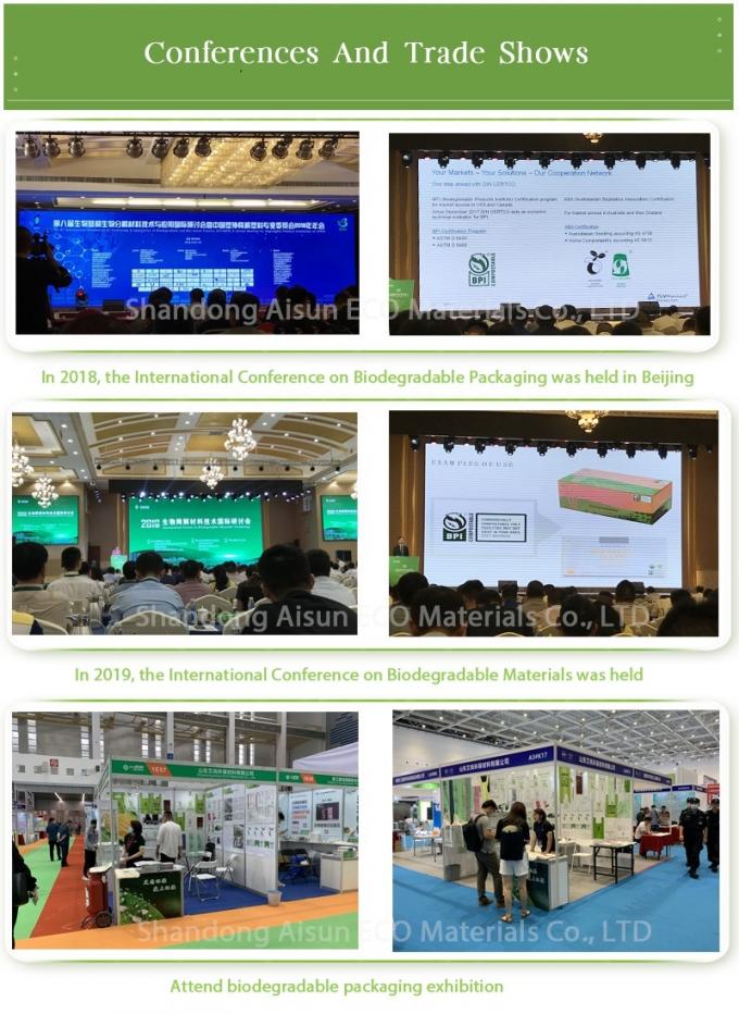 PLA Biodegradable Shopping Bag Compostable Plastic Customized 6