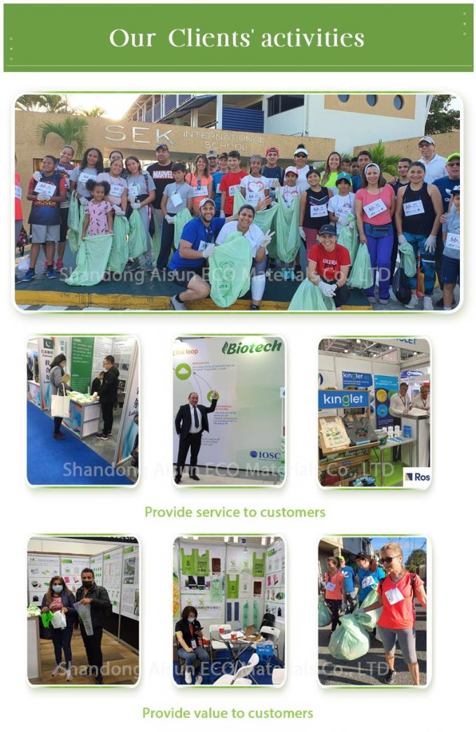 PLA Biodegradable Shopping Bag Compostable Plastic Customized 7