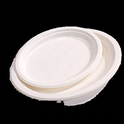 Custom Printed Compostable Smoothie Cups Sugarcane Bagasse Plate 20 Oz