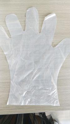 OEM Compostable Biodegradable Disposable Gloves Food Preparation