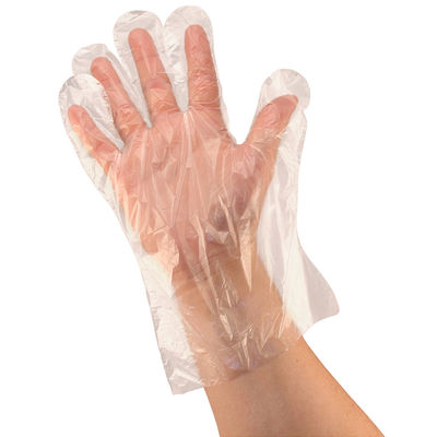 PLA Plastic Biodegradable Disposable Gloves Plant Based Material
