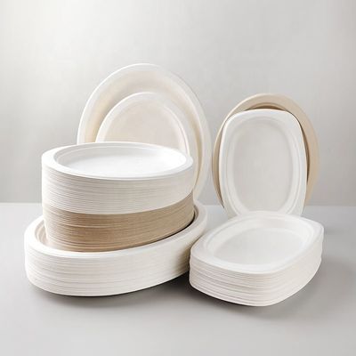Custom Printed Compostable Smoothie Cups Sugarcane Bagasse Plate 20 Oz