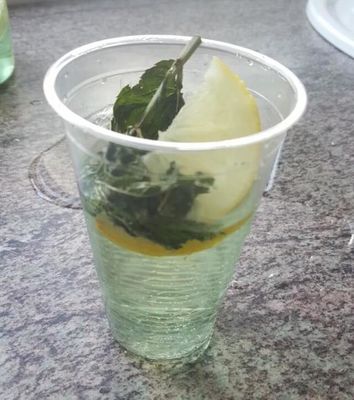 Custom Compostable Biodegradable PLA Cups 9 Oz for Restaurant