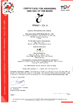 China Shandong Aisun Environmental Protection Material Co., Ltd. certification